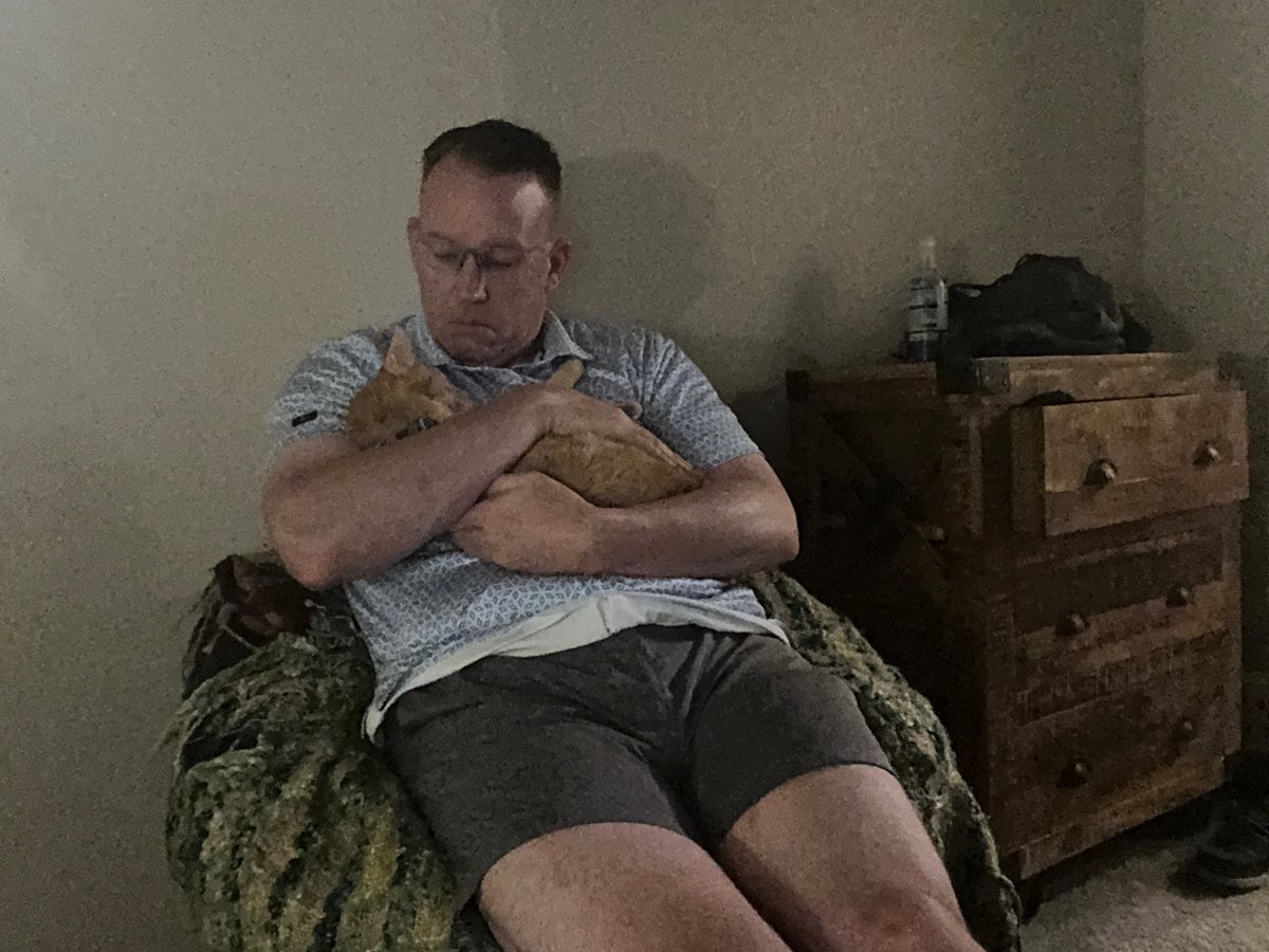 tcopetweets's tweet photo. @catwithaura Just had to put my lil orange guy down after 17 years https://t.co/3OG28rNrV5