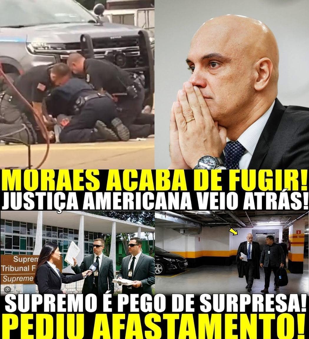 29Mattos's tweet photo. 👇👏👏👏🙏👏👏👏🙏👏👏👏👇 https://t.co/WicyPF8prK