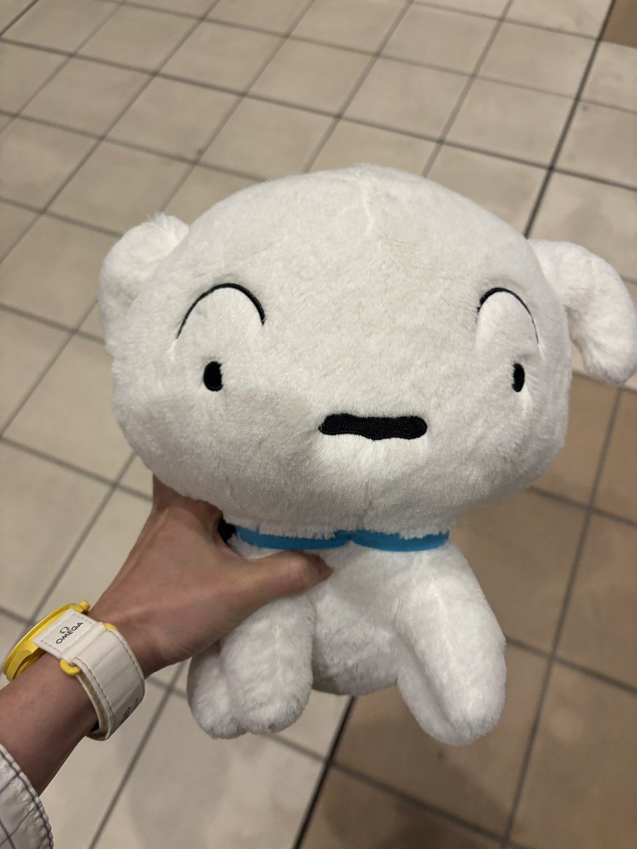 AznableTin's tweet photo. また1つ歳をとって、疲労が取れない体になってしまいました

昨日はサウナのおばちゃんたちにお祝いをしてもらい

自分への誕プレとしてこいつがやってきました https://t.co/CSvPMwnzny