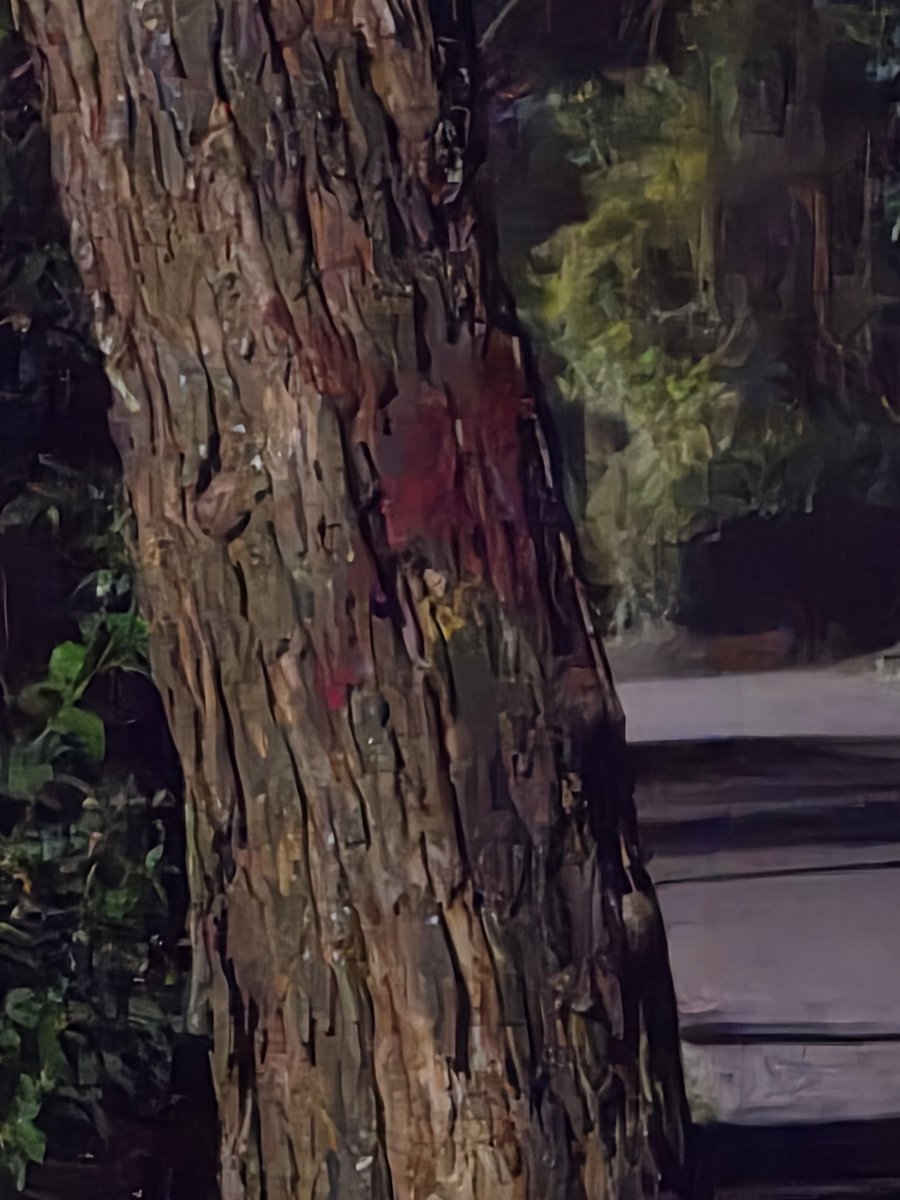 enaicca's tweet photo. @Rashousmane They are raiding Dennis Pritt road as well. Trees have been marked X. We have a rogue government that does not respect our environment. Rather than work around them they prefer the easier route with no regard for consequences. https://t.co/Y3qy3NOVQq