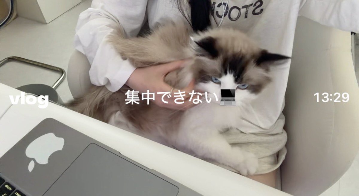 ayamiroom's tweet photo. 半額セブンスムージーのために
早起きしたフリーランスの朝vlog🎀🌙
#Setlog https://t.co/UXnzWDTnIy