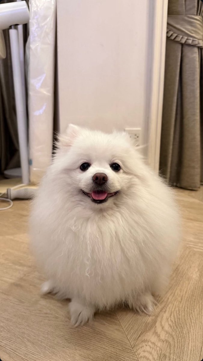 bbebillkin's tweet photo. โอโม่มะอ้วม แค่ขนฟูค่า https://t.co/RToENm3uhu