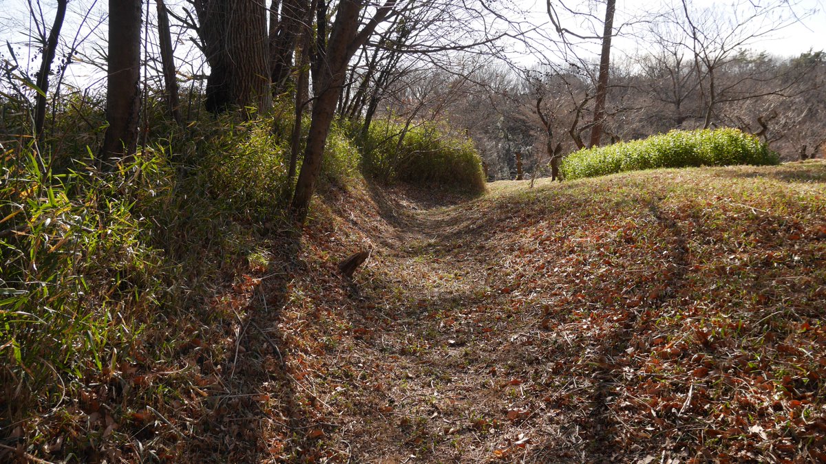 Davout77's tweet photo. 次回のシリーズですが
山田城と同じ、国営武蔵丘陵森林公園内にある異形の城
山崎城
となります。
まあ、そもそも本当に城郭なのか？と疑問が残る物件ではありますが…
あえて加筆してない地形図を載せてますので、興味がある方は地形図を見ておいて下さい。 https://t.co/mzzya2xpmm