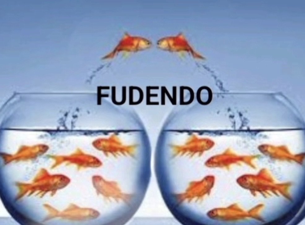 OReagerr's tweet photo. @DoCaos__ @leninskot_17 @Srhuman107 NÃO É ISSO QUE ELA TÁ FALANDO COMO VC ME CHAMA  DE ESTUPIDO LÊ DENOVO O POST DELA PELA MOR DE DEUS https://t.co/Ju6huxoWH9