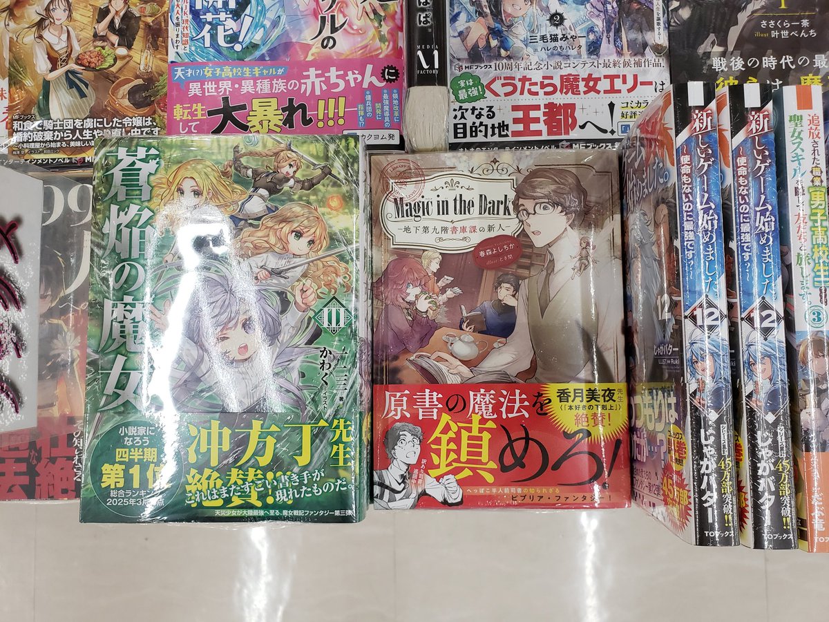 TOブックス 『蒼焔の魔女3』 #アルファポリス 『迷宮遊戯