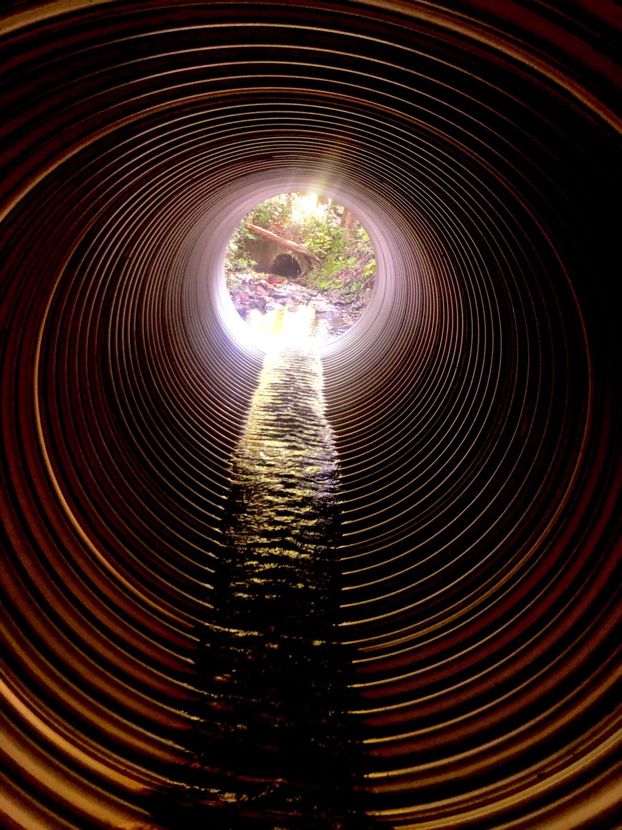 BlkMetalEnjoyer's tweet photo. There are portals https://t.co/sWYCv3KUtA