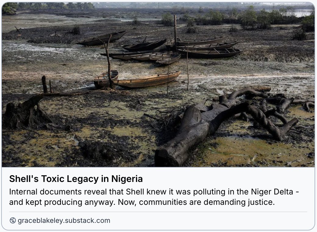 graceblakeley's tweet photo. Communities in Nigeria’s Niger Delta have seen their rivers turn black, fish vanish, and farmland ruined by oil pollution.

New documents reveal Shell knew the damage it was causing - and kept pumping anyway.

Now, communities are demanding justice.
https://t.co/dMoboyg4mX https://t.co/M20jTR8jE0