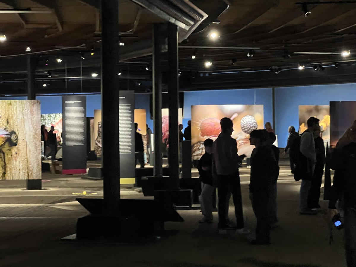 mchlschlt's tweet photo. Im großartigen Gasometer in Oberhausen diesmal die Ausstellung „ Mythos Wald“. Lohnt wirklich. https://t.co/Muy8eKaEU9