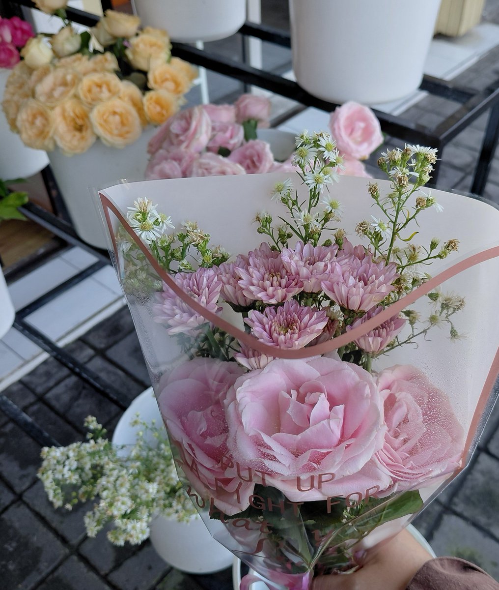 rxachoc's tweet photo. 🌷🪻✨️ https://t.co/CZVVXV0sO2