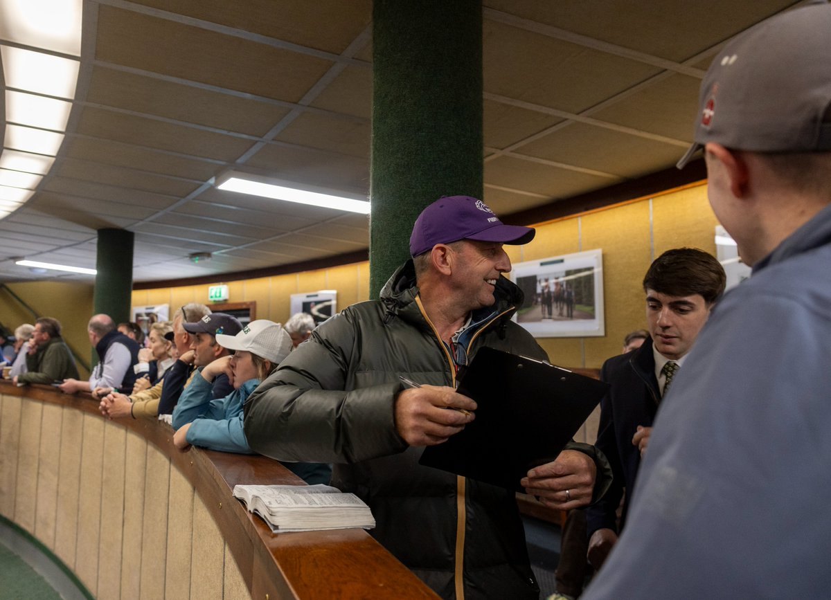Goffs1866's tweet photo. Killeen Glebe's Lot 315, a Walk In The Park gelding out of Listed winner Ard Abhainn, is purchased by Gavin Cromwell for €185,000. 

#GoffsArkle https://t.co/lLAILjohb1