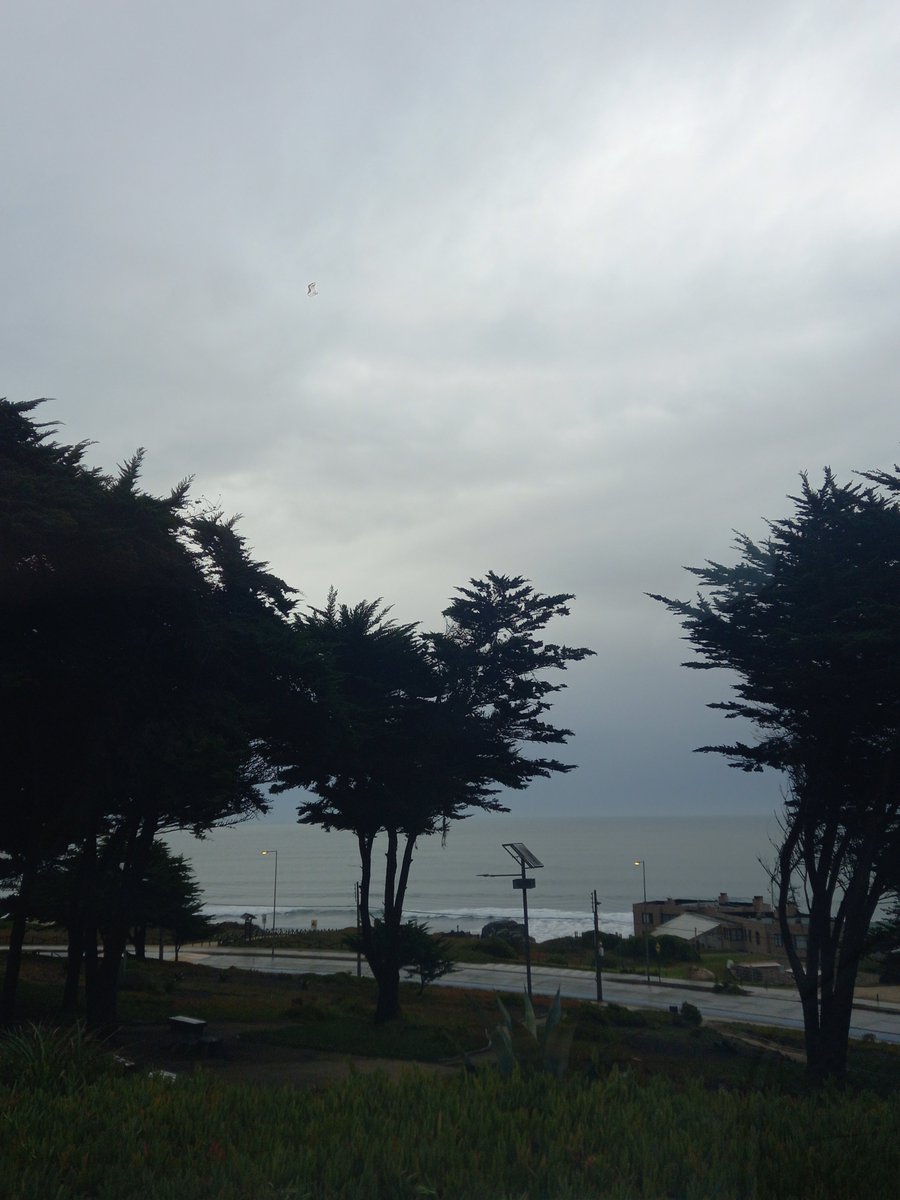 JaimeCepedaC's tweet photo. Lluvia por el litoral central ☔🍃🌧
@Sepulinares https://t.co/aGk17RPYxh