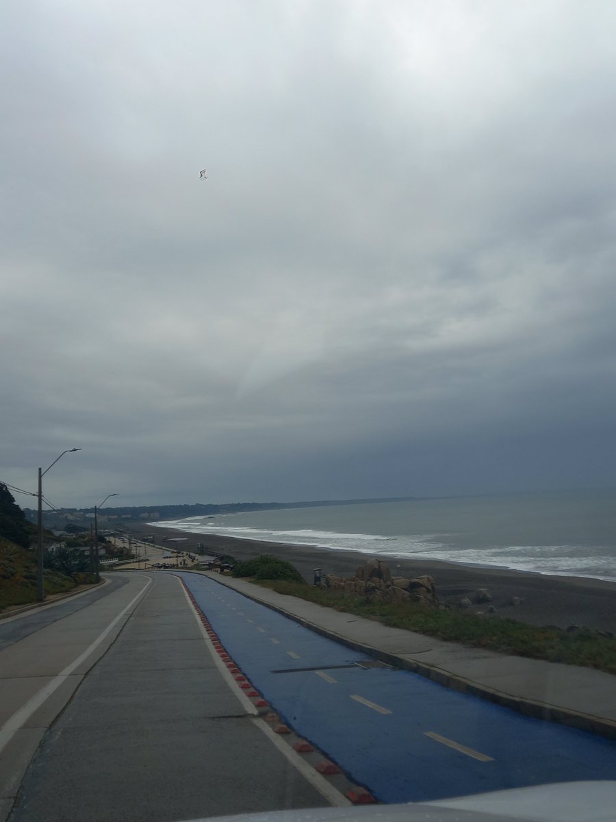 JaimeCepedaC's tweet photo. Lluvia por el litoral central ☔🍃🌧
@Sepulinares https://t.co/aGk17RPYxh