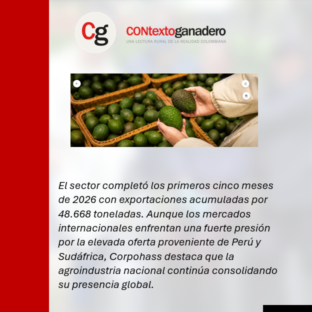 PasionsanMarcos's tweet photo. Aguacate hass colombiano mantiene el pulso exportador, pese a presión de la oferta mundial #OrgullosamenteGanaderos ¡!! Aguacate hass colombiano mantiene el pulso exportador, pese a presión de la oferta mundial | CONtexto Ganadero @jflafaurie @Fedegan @CarriazoRegino https://t.co/ODg58RAiR1