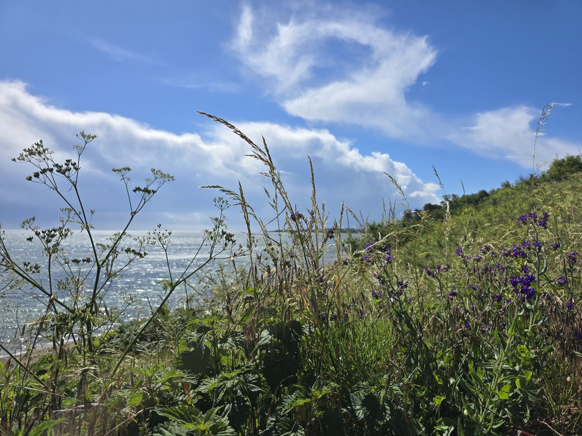 Simon_Westerhof's tweet photo. Knebel 《DK》:
In alle rust en stilte kamperen en relaxen aan de kust. Fijne dag verder https://t.co/kcnuDHzail