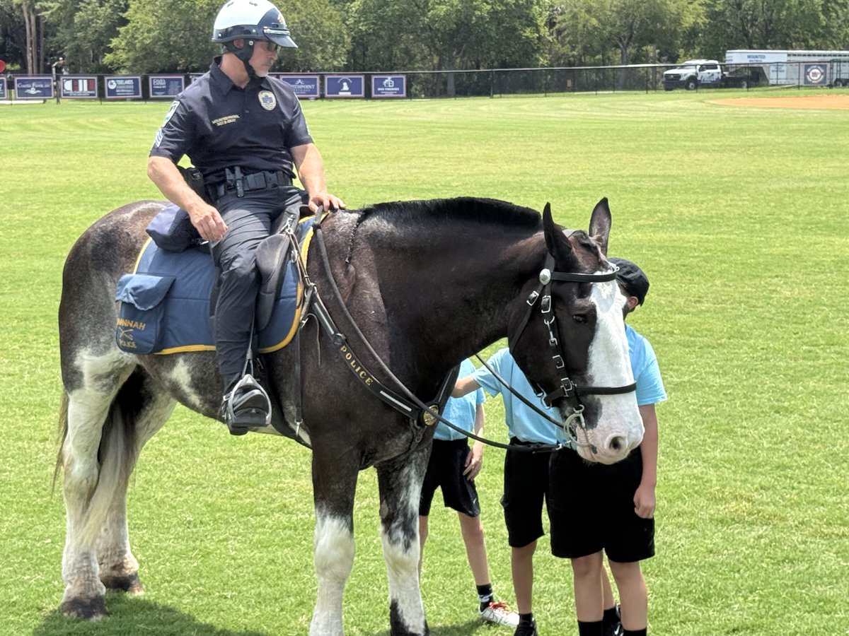SavPolice tweet picture