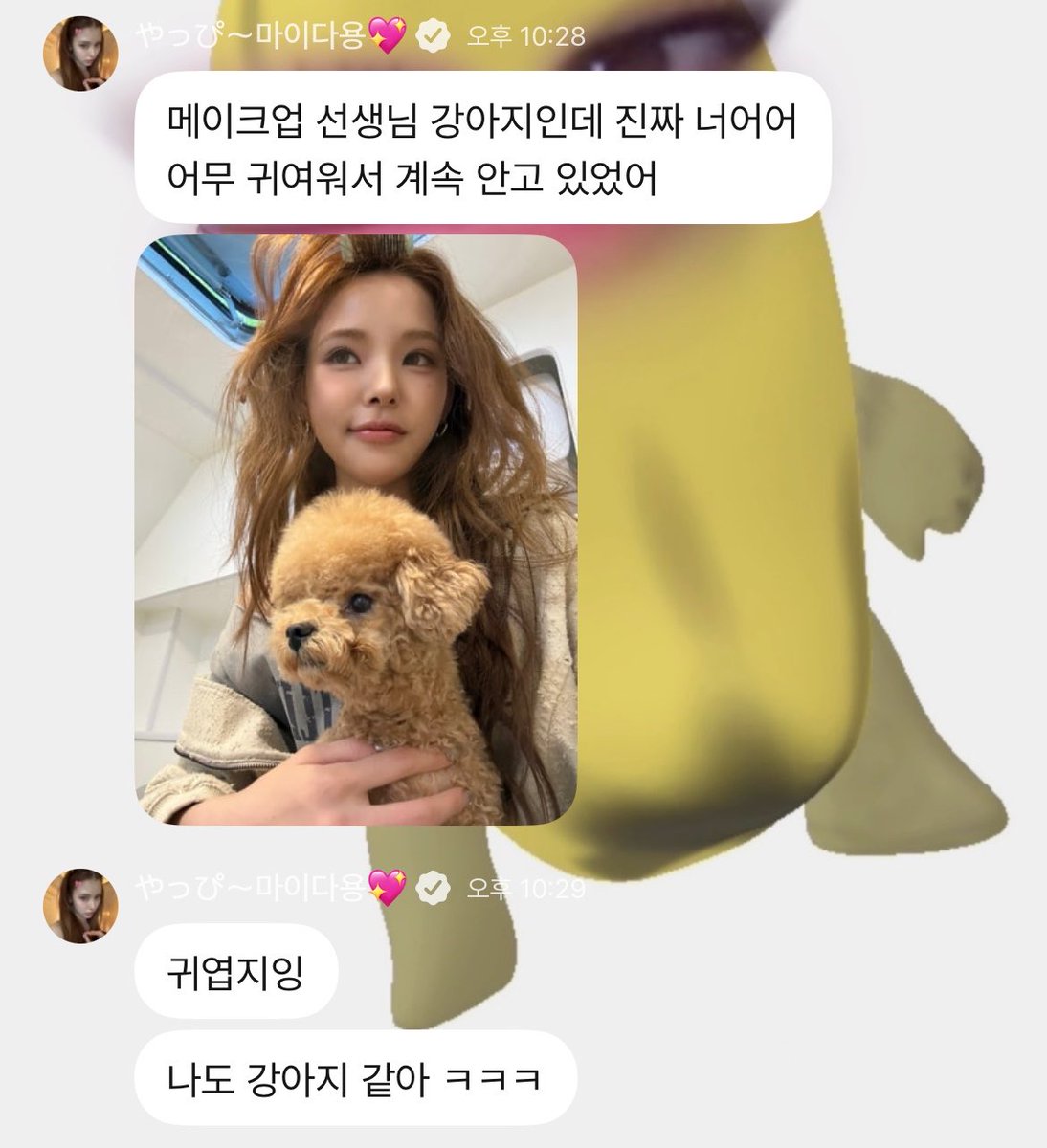 maiicookiie's tweet photo. 너무귀여워서소리지름 https://t.co/szA0ZE1kBv