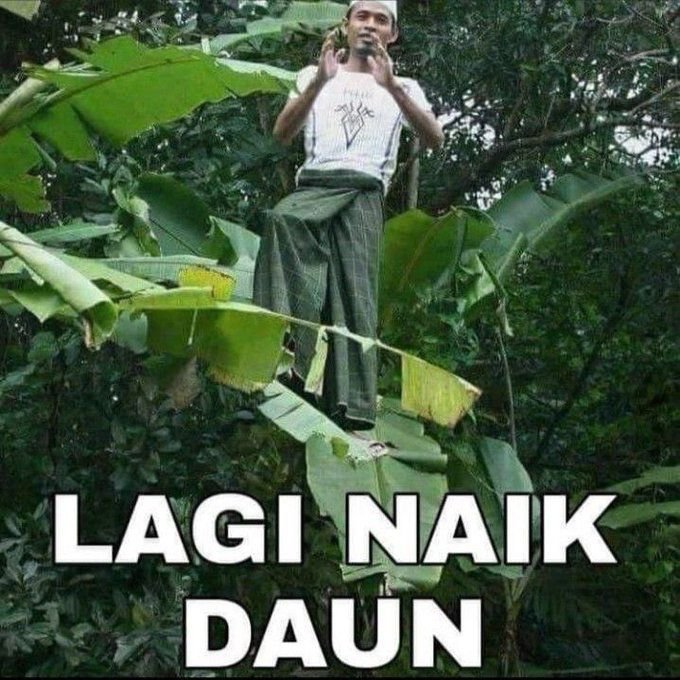 CHAEMINsbx's tweet photo. MINTA MAAF DI ATAS DAUN. 🙏🙏🙏 https://t.co/seJbS6IttC