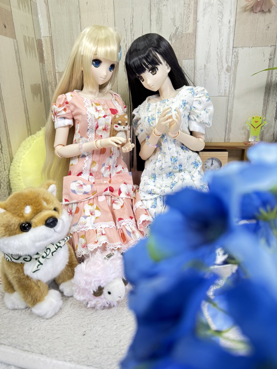 bearbeartyan's tweet photo. (๑و•̀ω•́)و{今夜のお題は、???
6月鳴神月・紫陽花💠🌿 ܸ
#AZO2
#アゾカツ
#アイコレ
#ハピクロ
#深夜のドール撮影60分一本勝負 https://t.co/neGUqiaBGP
