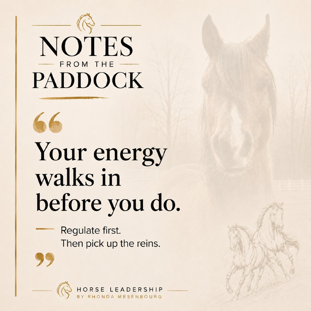 RealtorLifeRI's tweet photo. Energy is felt before words are heard.

One of the first leadership lessons horses taught me was self-regulation. Before we lead others, we have to manage ourselves.

What energy are you bringing into the room today?

#RealtorForLife #AlpernandMesenbourg #RhodeIslandRealEstate https://t.co/82cwRATmLk