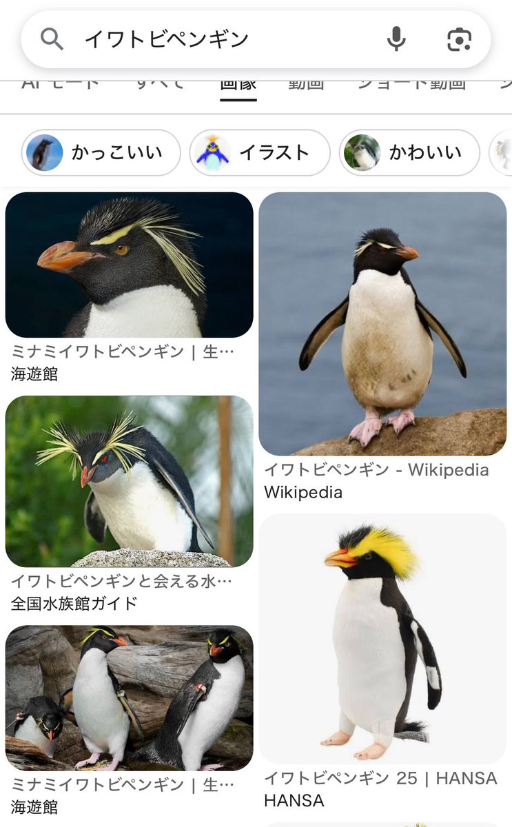 steb__a's tweet photo. カイくんの髪色、ペンギンさんみたいで可愛かったです。まる。 https://t.co/CZLi4CIdKu