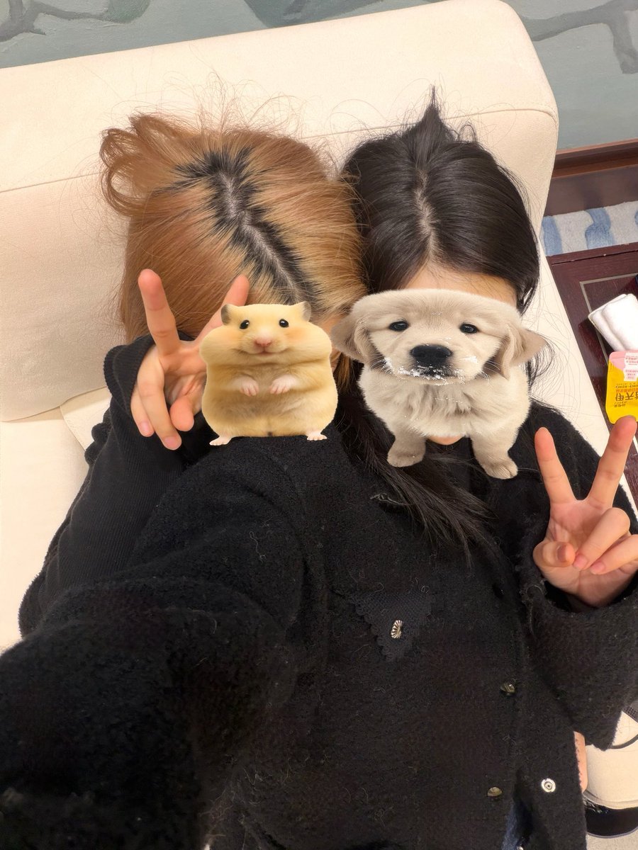 REImgcl's tweet photo. tebak mn mima mn ak
@jemisabeau https://t.co/5qb3GTD1EB