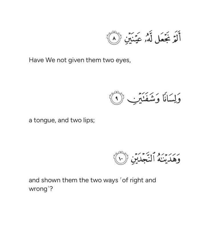Al_quraan114's tweet photo. https://t.co/PyZ92YBgNj