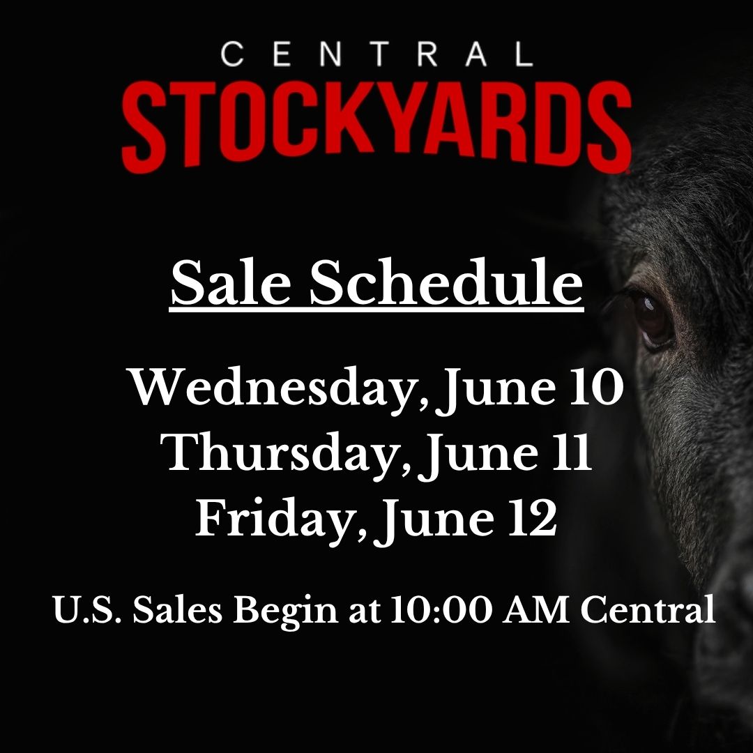 fedcattleEXCH's tweet photo. Our showlist for the week includes cattle from Iowa, Kansas, and Texas.  Join us today at 10:00 AM CT for the Fed Cattle Exchange and real-time, transparent fed cattle sales! https://t.co/JoJQjVPq3x https://t.co/DgM8AbJkZd