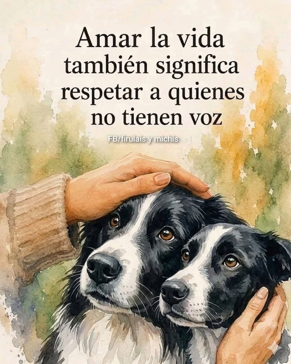 VIBRAmascotas's tweet photo. 🙏🏼 https://t.co/x5dPffl2TZ