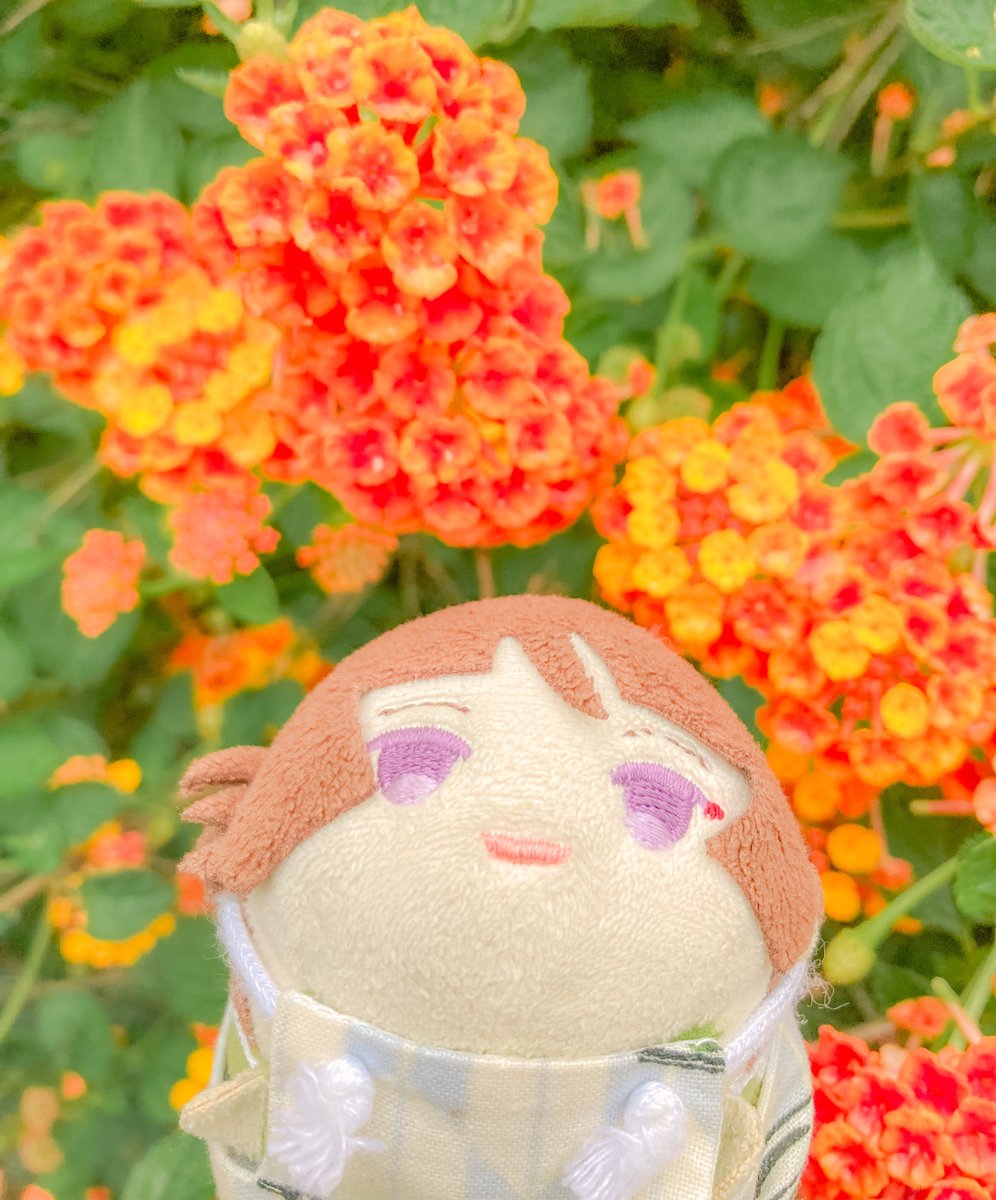 madoka1396's tweet photo. おやすみおやすみ
夢の中でも一緒にあそぼね🌸 https://t.co/bwxUQ3Wdbu