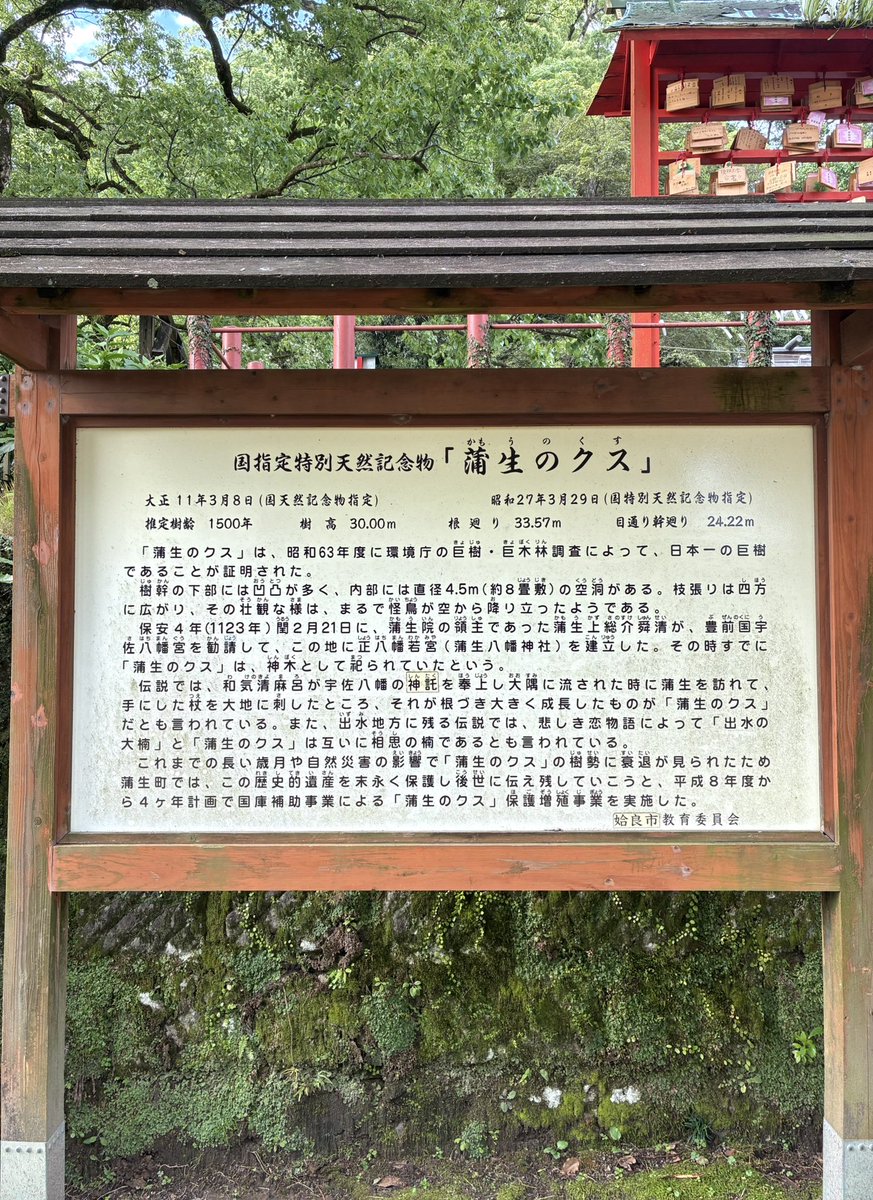 sakurafoods1888's tweet photo. 蒲生八幡神社にお詣り
#潜入捜査 #蒲生八幡神社 #大楠 #御神木
#樹齢1500年 #蒲生の大クス
#神社 #参拝 #御朱印 #パワースポット
#GReeeeN #GRe4NBOYS #GRCReW 
#鹿児島県 #おいでよ鹿児島 https://t.co/wJSHnGWS3r
