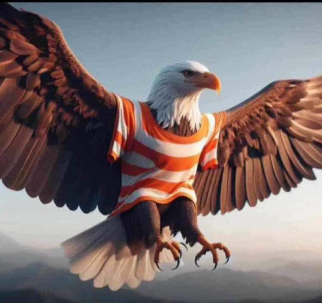 DROIT_ierDesign's tweet photo. @pastrescausant @WilooFootball Que l'aigle le localise. 
Cordialement https://t.co/UKsTFJja3T