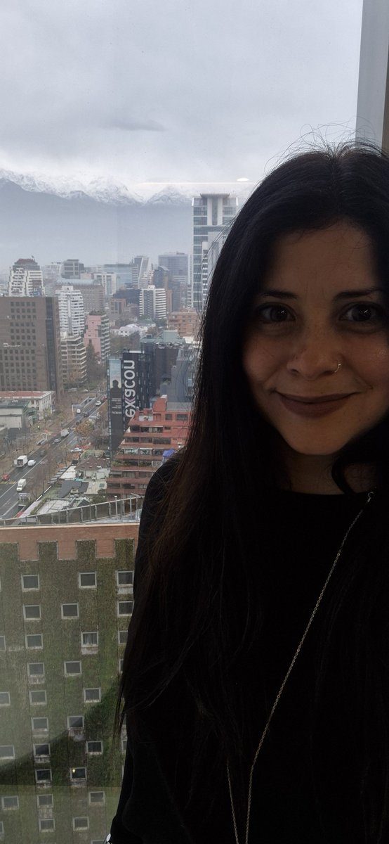 DeltaJey's tweet photo. Llueve en Santiago y aparece la nieve en la Cordillera. 
Tengo una vista preciosa desde mi ventana https://t.co/asTKdE4gn2