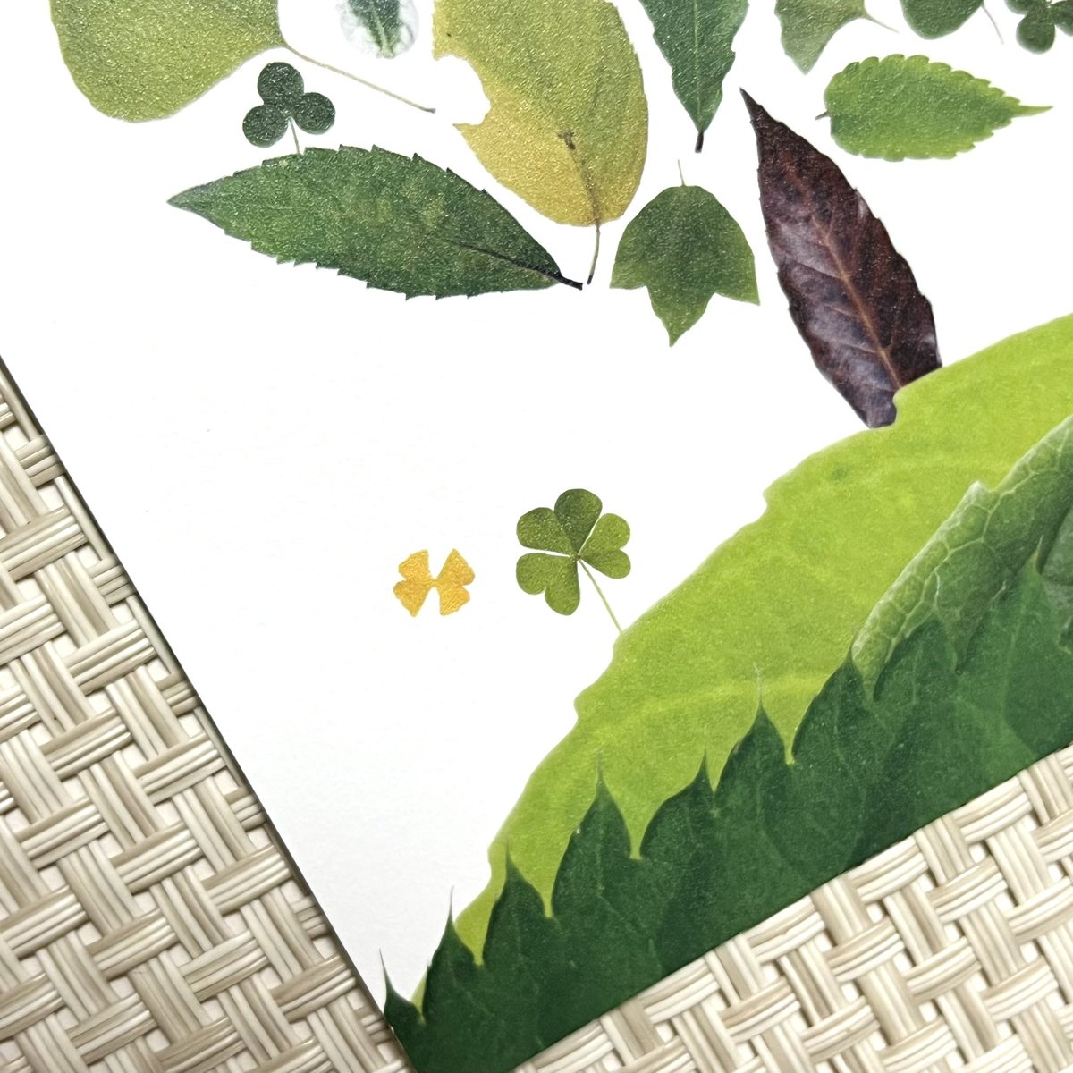 plusleaves's tweet photo. NEW✨GREEN TREE ポストカード販売開始

お待たせいたしました❣️
…か、どうかは分かりませんが😅

先日のツクルヒトタチ博の企画、デザイン選手権にてエントリーしていたポストカード作品の販売を、次回6/13出店のぶぶぶバザールより開始いたします✨ https://t.co/Shxsfx8Vj4