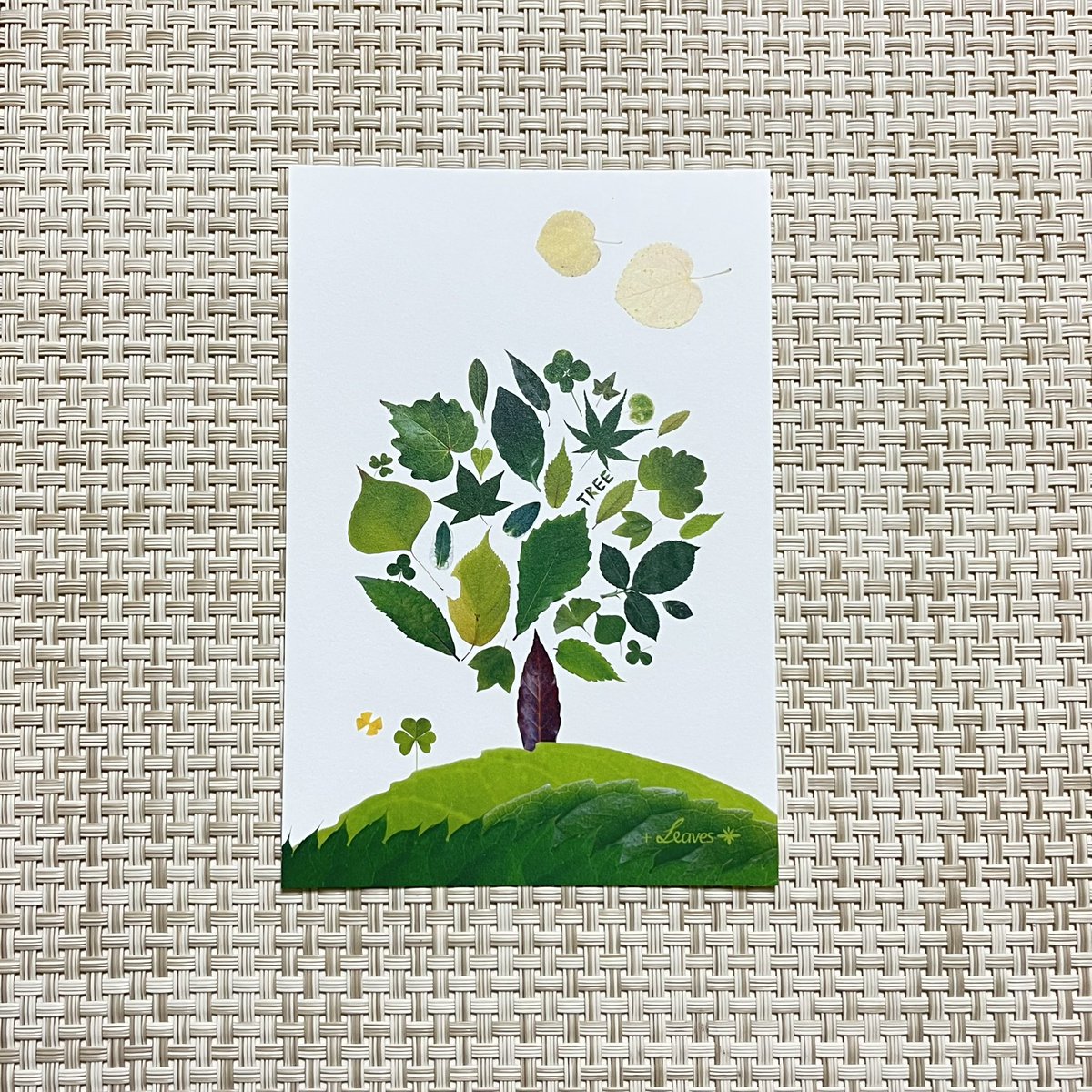 plusleaves's tweet photo. NEW✨GREEN TREE ポストカード販売開始

お待たせいたしました❣️
…か、どうかは分かりませんが😅

先日のツクルヒトタチ博の企画、デザイン選手権にてエントリーしていたポストカード作品の販売を、次回6/13出店のぶぶぶバザールより開始いたします✨ https://t.co/Shxsfx8Vj4