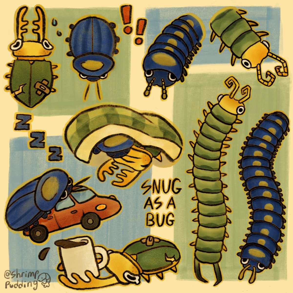 🦐 tweet media