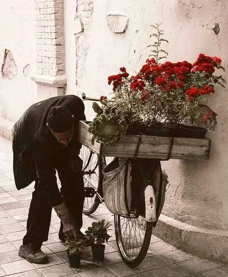 _Nekre's tweet photo. ''Bir kişi Allah'tan başka kimseye ihtiyacı olmadığına inanırsa; Allah da onu başkasına muhtaç etmez!''

 Şems-i Tebrîzi https://t.co/hQNXTIJQDH