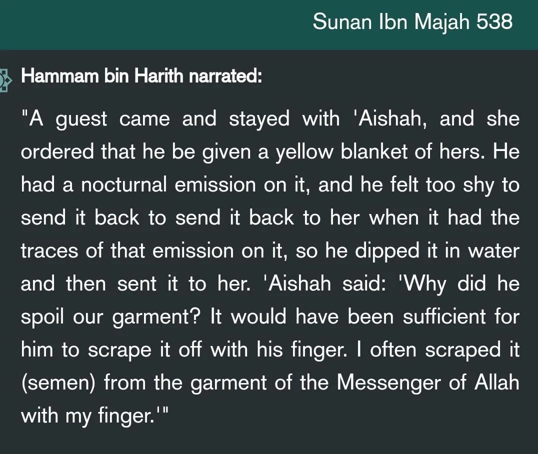 trayansh's tweet photo. @abuubaidah001 @garimaxz @nicheniggadawla Yeah first women in islam to be cucked by Mohammad and wash a guests semen along side pedo Mohammad, while you can't prove anything and just use your made up stuffs from your religion to reflect it on others, and wtf is that "by her own daddy?" , you guys are disgusting https://t.co/htRyqhEroN