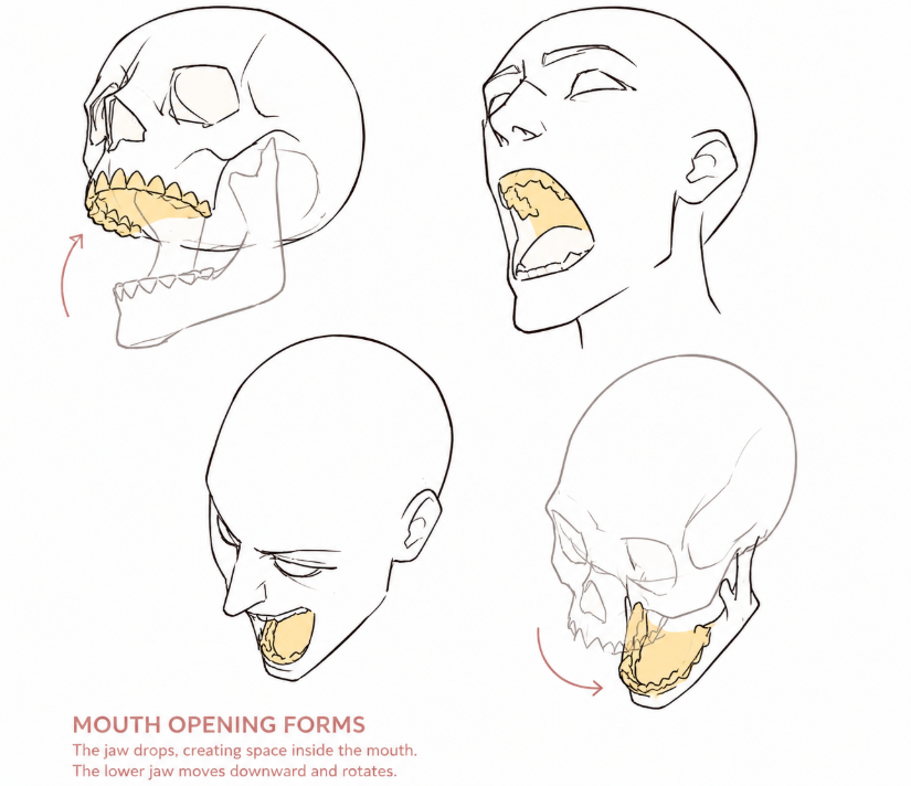 ChromaFlowx's tweet photo. mouth opening forms https://t.co/4TYGPuQYQg