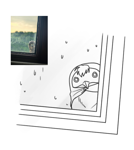 EsaDrobo's tweet photo. 오늘도 귀여운 새 사진을 발견해서 https://t.co/CSMsecwIX5