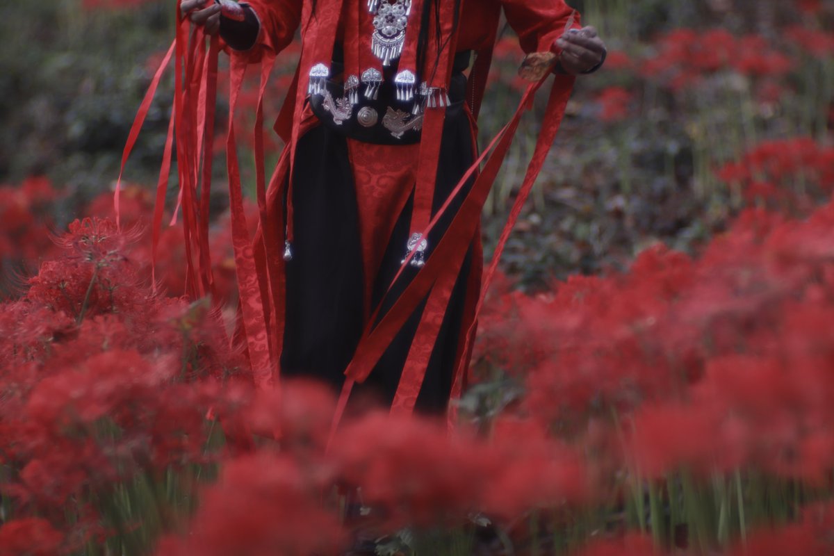 Saluti_a_te's tweet photo. Cosplay/TGCF 天官賜福

·

     貴方に一目逢えた奇跡が
        私の生きる理由になった

·
▼
花城
p:@Mian_yade
 #おねむPhoto https://t.co/03anLfSlFY