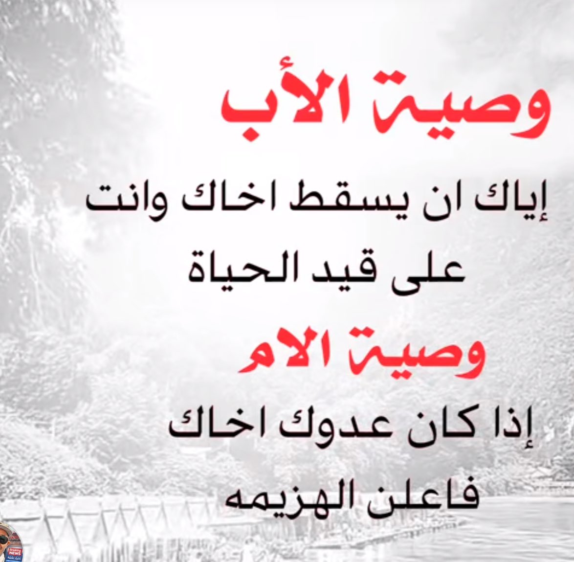 M123Mohammad's tweet photo. https://t.co/6mDyfSWrWu