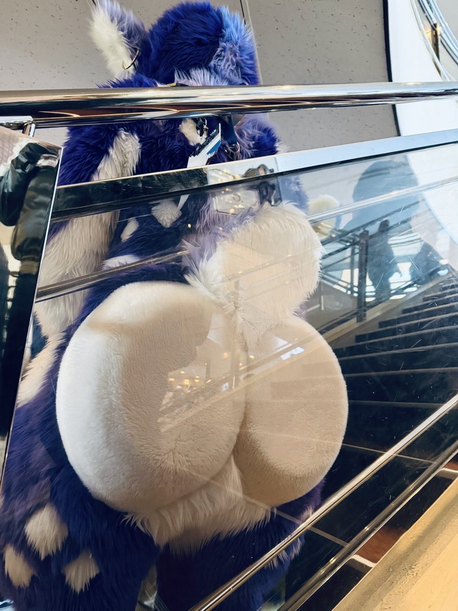 piro1791's tweet photo. 🦌🍑 https://t.co/HuOL3gYJkh
