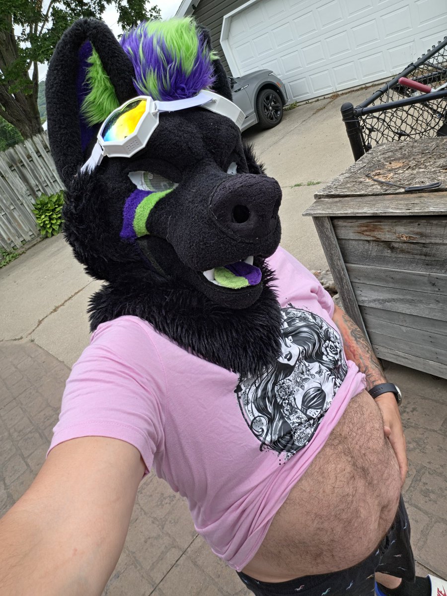 ShadowDaWolfDog's tweet photo. No sun for my belly today. Will you rub it instead?
#gay #furry #pup #humpday #OnWednesdaysWeWearPink https://t.co/cPuBkFUCA5
