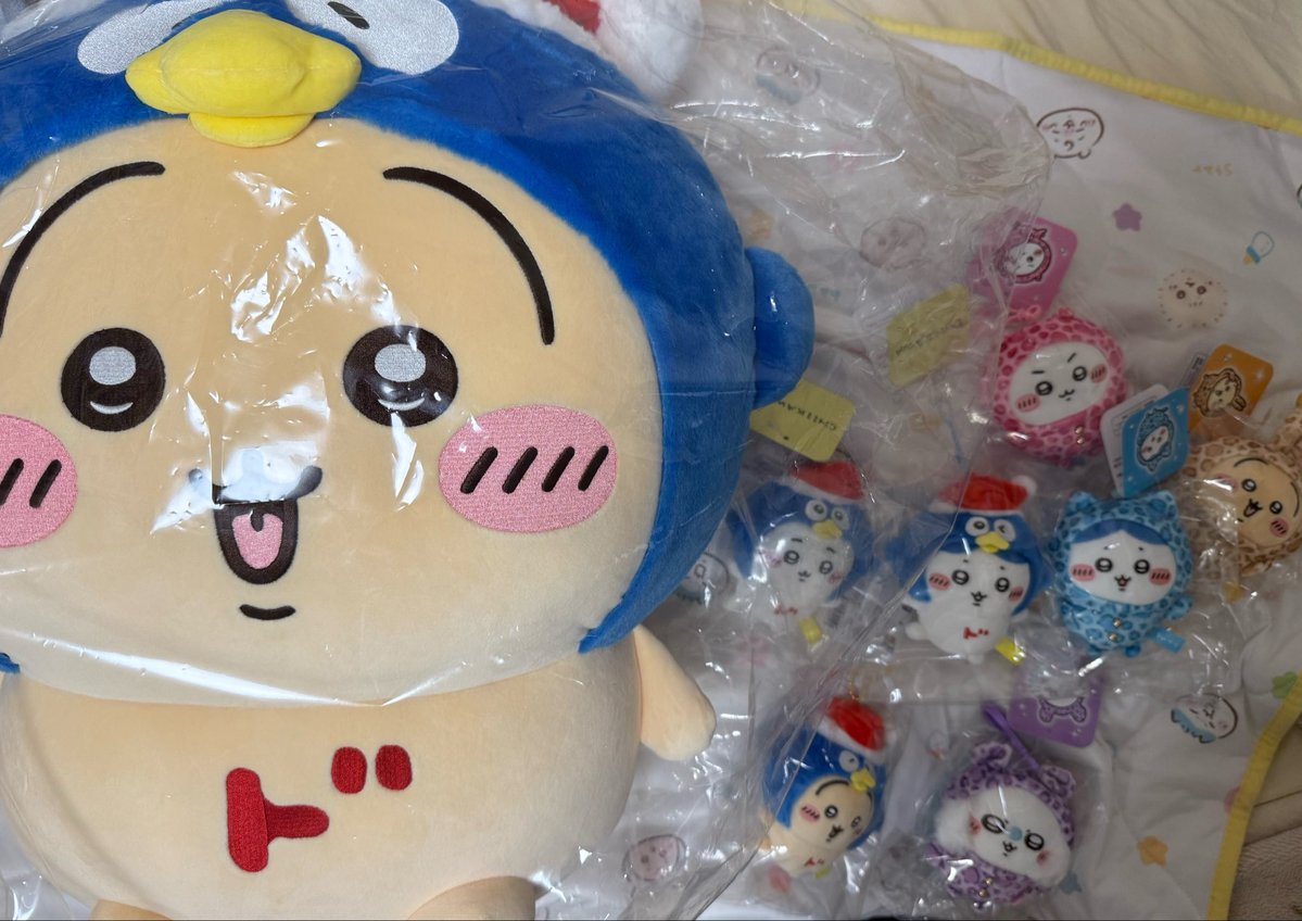 chiikuro46's tweet photo. 仕事終わりに再入荷のポスト見て行ってしまった🥺
巨・うさぎは買う予定なかったけどちょうど出してもらえたからつい…🙃
ポーチの再販ないかな… https://t.co/RrMCoTjRMK