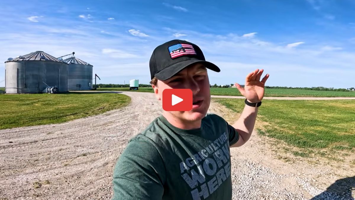 FarmsSwine's tweet photo. PRRS Outbreak on This’ll Do Farm...
In this video, @thislldofarm shares the day-to-day reality of managing a PRRS outbreak on their operation.
Watch the full video for insights and strategies to help manage a PRRS outbreak on your operation ⬇️
https://t.co/Gc3Y8O156e
#Swine https://t.co/mUFGIPHHtP