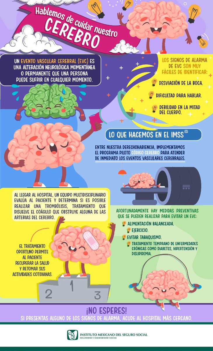 IMSS_Queretaro's tweet photo. Hablemos de cuidar nuestro cerebro. 📷

Un evento vascular cerebral (EVC) es una alteración neurológica momentánea o permanente que una persona puede sufrir en cualquier momento. 📷

¡No espere! Si presentas alguno de los signos de alarma, acude al Hospital más cercano. 📷 https://t.co/JfIEUUSwOA