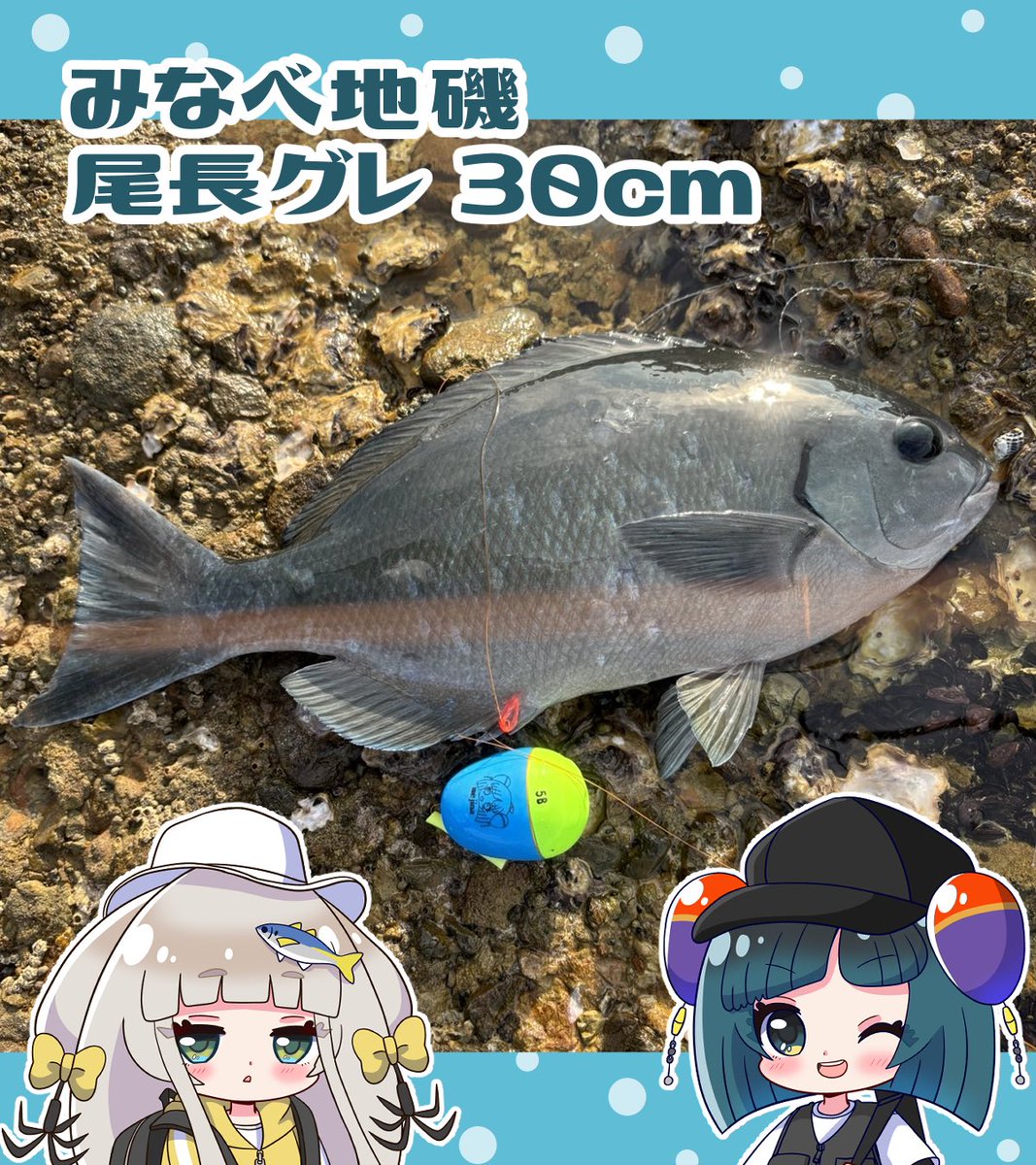 YK釣具工房スタッフの釣果🎣】 ・日時：2026年6月10日（水） ・場所