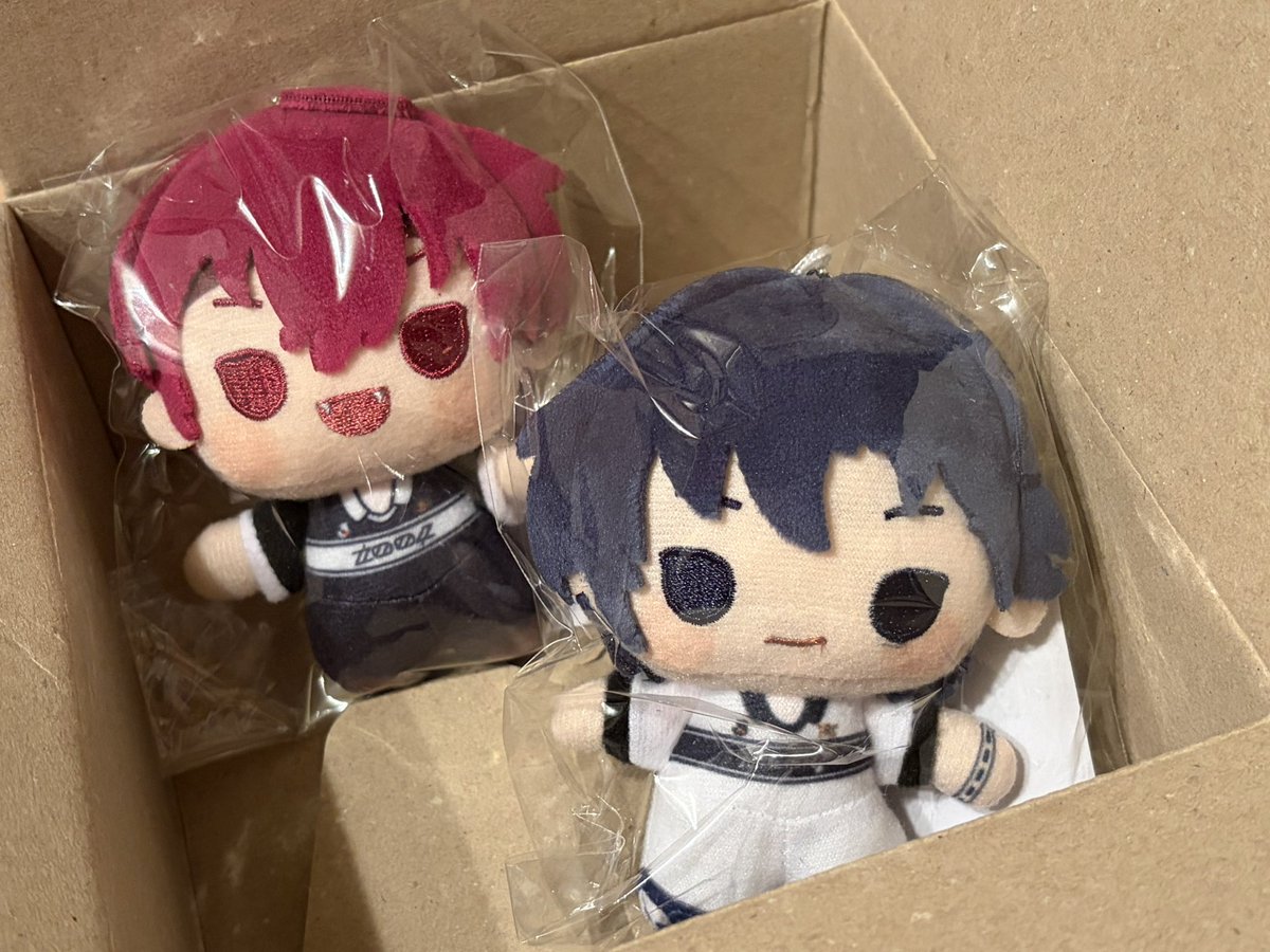 bolomog2's tweet photo. ⚽️ぬい届いてた！
本当は一織だけ買おうと思っていましたが
八重歯が可愛すぎてトウマも買いました！ https://t.co/mMMTasbt8d