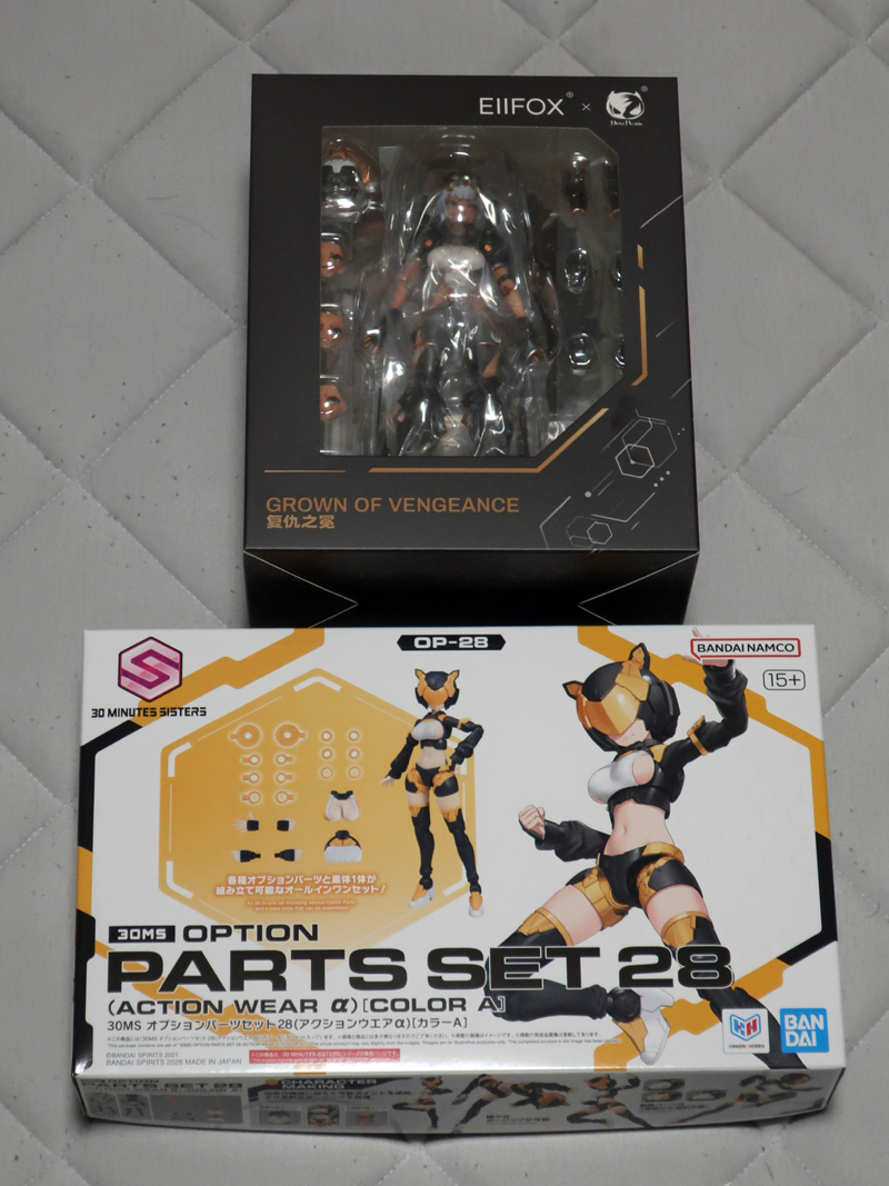 あみあみさんから御荷物着いた。 今月は中華アクションフィギュアの