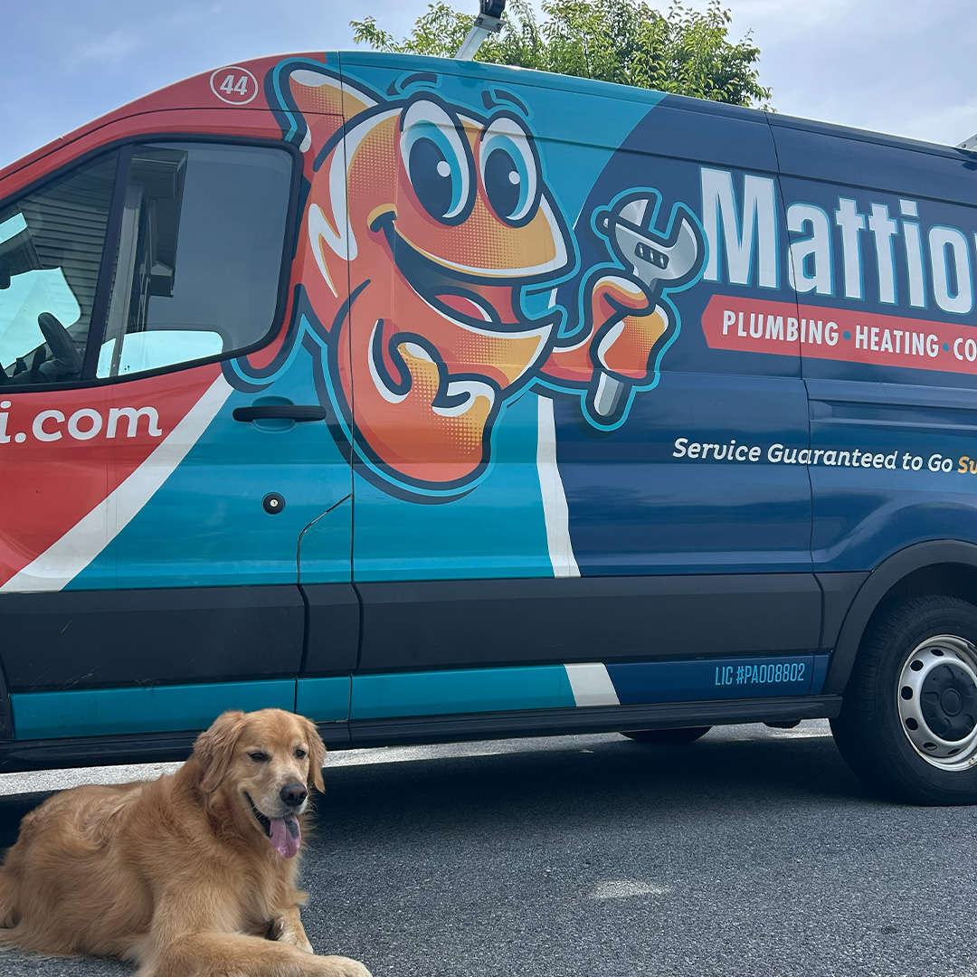 CallMattioni's tweet photo. Don't mind us, just testing new apprentice photo poses 🐶 https://t.co/Nk4sm1cqqB